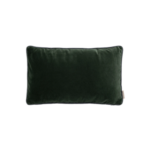 Pillow Duck Green 30 50