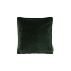 Pillow Duck Green 40 40